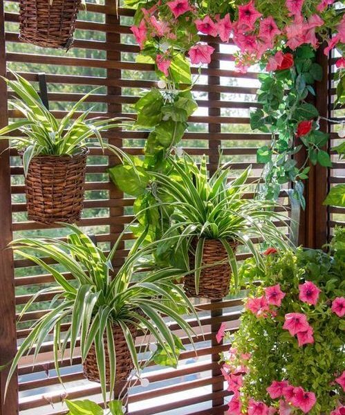 bd17cdaecad81680000afa5aae1824e8-499x600 Ý tưởng thiết kế ban công đẹp bd17cdaecad81680000afa5aae1824e8-499x600 Ý tưởng thiết kế ban công đẹp